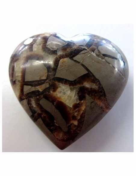 Coeur en septarian