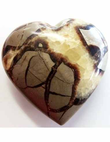 Coeur en septarian