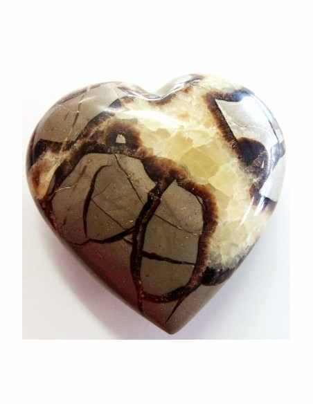 Coeur en septarian