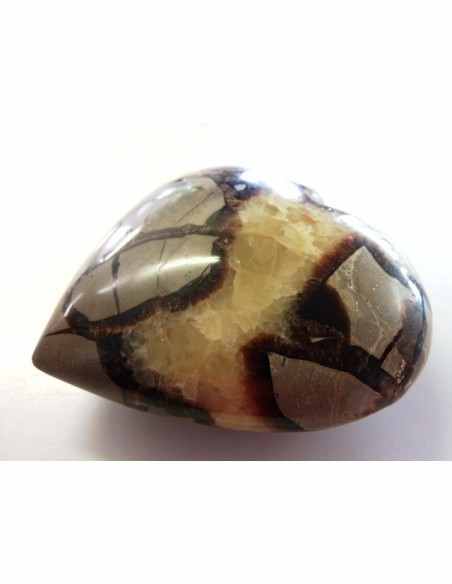Coeur en septarian