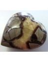 Coeur en septarian