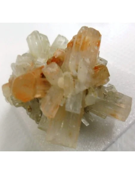 Aragonite bicouleur cristalisée