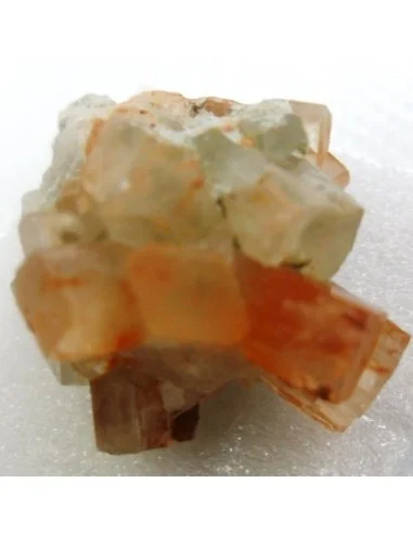 Aragonite bicouleur cristalisée