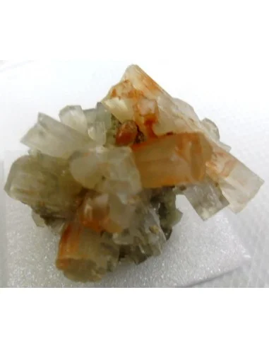 Aragonite bicouleur cristalisée