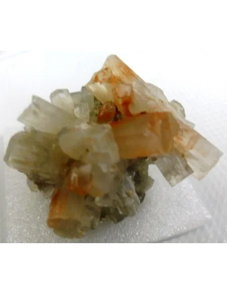 Aragonite bicouleur cristalisée