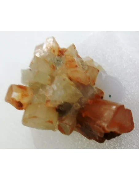 Aragonite bicouleur cristalisée
