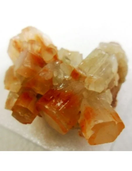 Aragonite bicouleur cristalisée