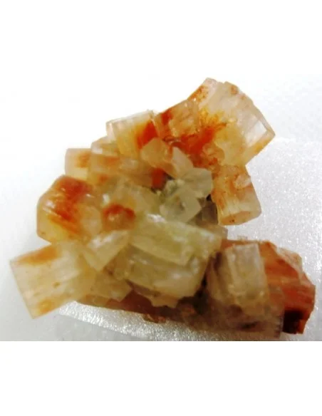 Aragonite bicouleur cristalisée