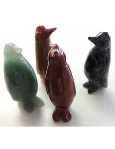 Pinguim en pierre