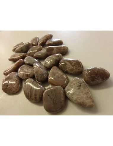 Pierre de lune noire polis 