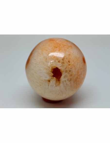 Cornaline oeuf Cornaline oeuf