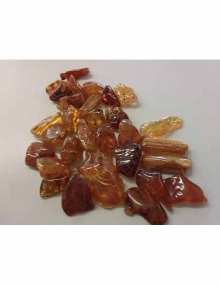 Ambre Lituanie, mer baltique