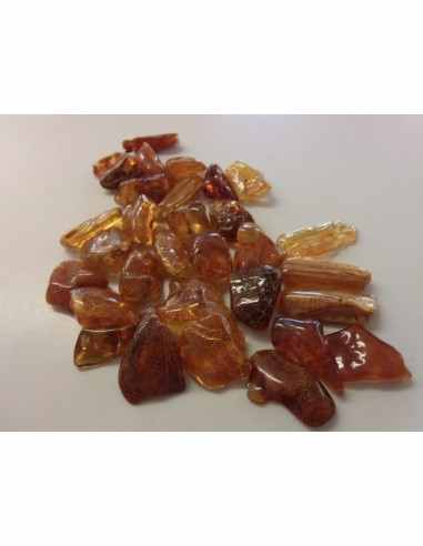 Ambre Lituanie, mer baltique