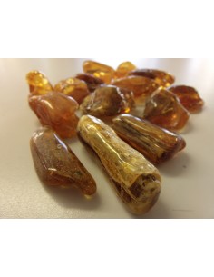 Ambre Lituanie baltique