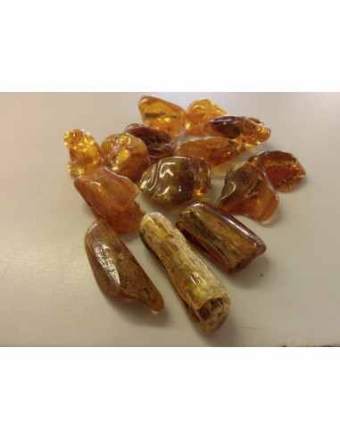 Ambre Lituanie baltique