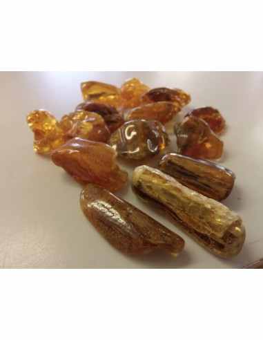 Ambre Lituanie baltique