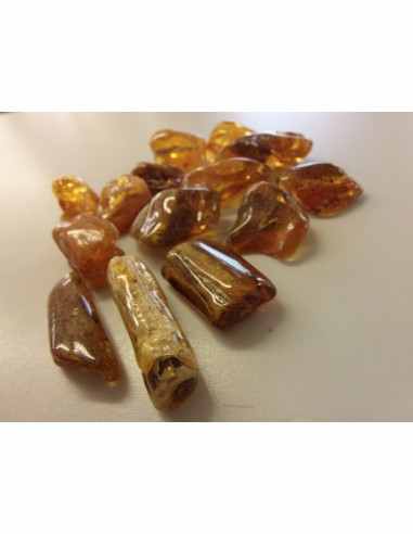 Ambre Lituanie baltique
