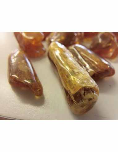 Ambre Lituanie baltique