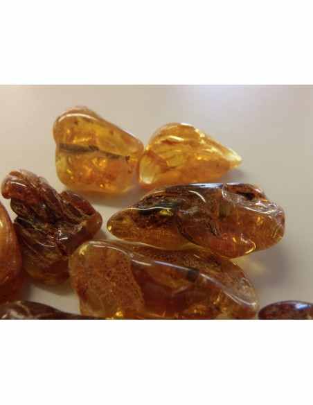 Ambre Lituanie baltique
