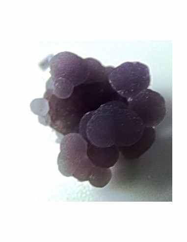 Agate violette cactus pendentif