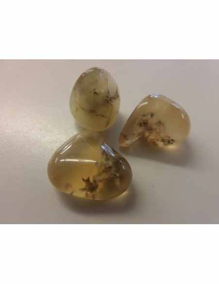 Opale dendritique polis Opale dendritique polis