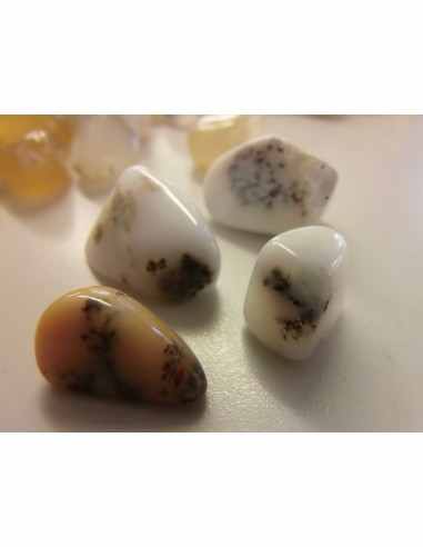 Opale dendritique polis