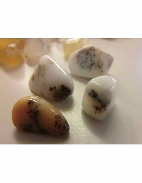 Opale dendritique polis Opale dendritique polis