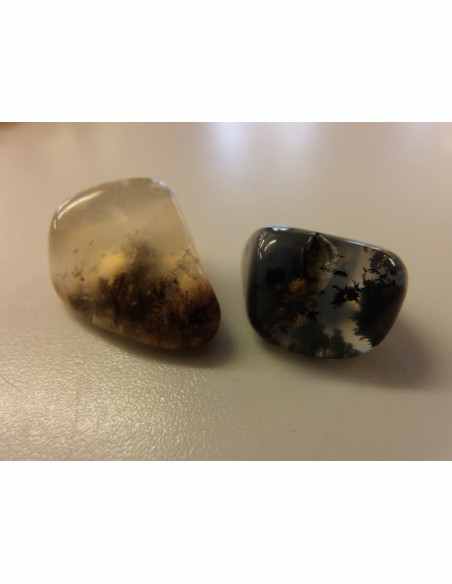 Opale dendritique polis Opale dendritique polis