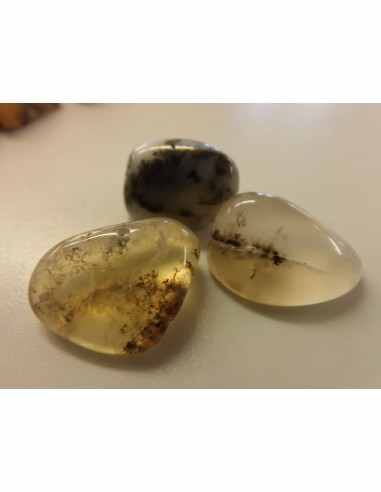 Opale dendritique polis