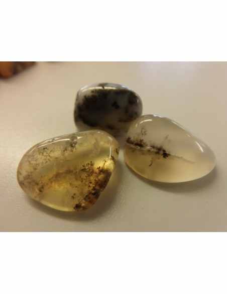 Opale dendritique polis Opale dendritique polis