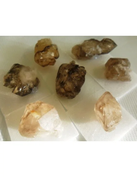 Quartz crocodile fantome