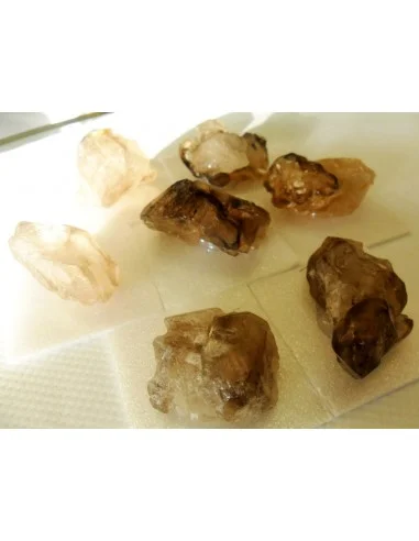 Quartz crocodile fantome