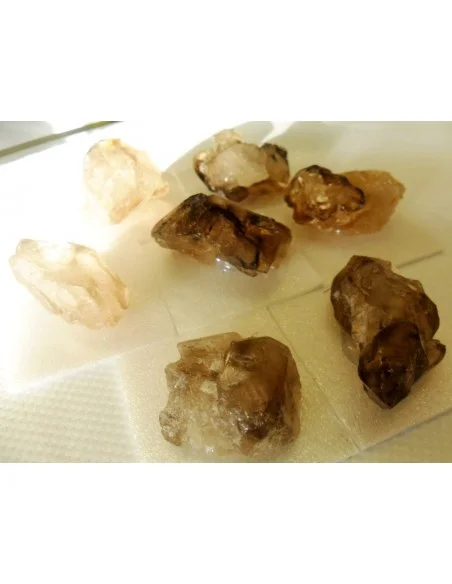 Quartz crocodile fantome