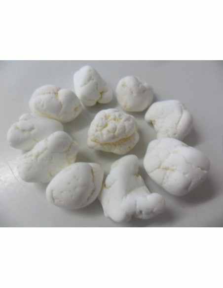 Magnésite brute 1 a 2g Magnésite brute 1 a 2g