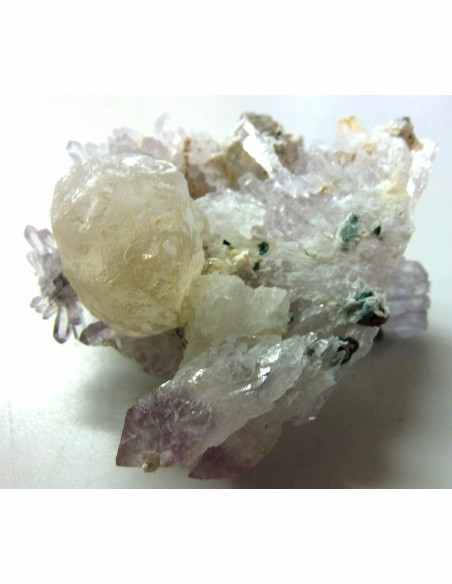 Fleur d'Amethyste Fleur d'Amethyste