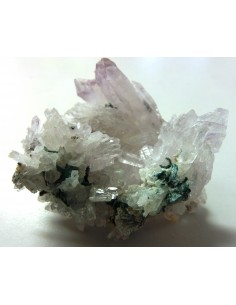 Fleur d'Amethyste 2