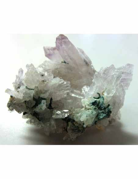 Fleur d'Amethyste Fleur d'Amethyste