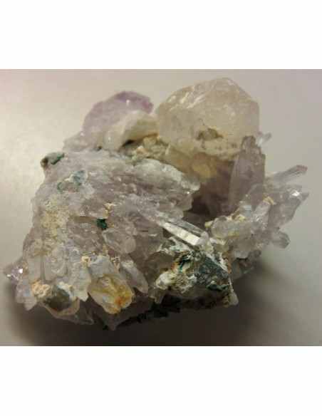 Fleur d'Amethyste Fleur d'Amethyste