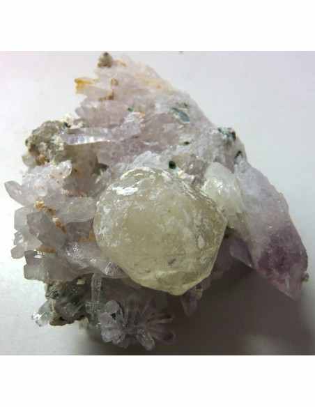 Fleur d'Amethyste Fleur d'Amethyste