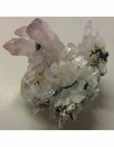 Fleur d'Amethyste Fleur d'Amethyste