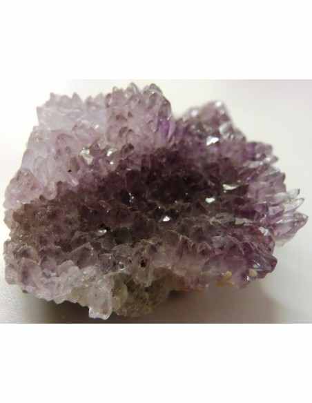 Fleur Amethyste Fleur Amethyste