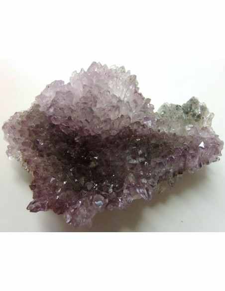 Fleur Amethyste Fleur Amethyste