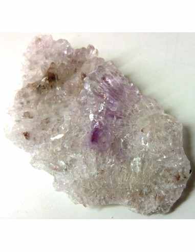 Vera Cruz, Fleur Amethyste