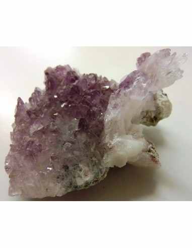 Vera Cruz, Fleur Amethyste