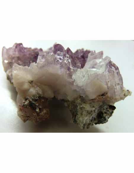 Vera Cruz, Fleur Amethyste