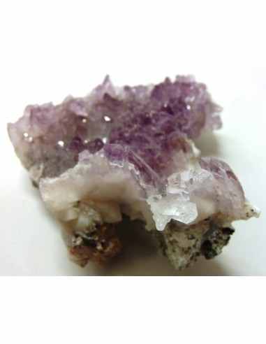 Vera Cruz, Fleur Amethyste