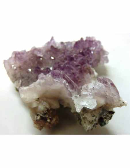 Vera Cruz, Fleur Amethyste