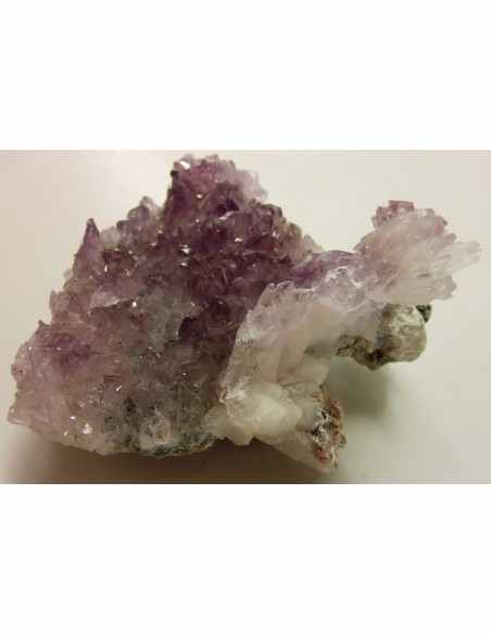 Vera Cruz, Fleur Amethyste