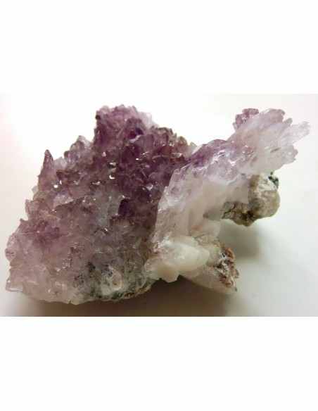 Vera Cruz, Fleur Amethyste