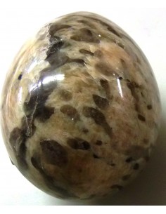 Oeuf en corail fossilisé 46mm